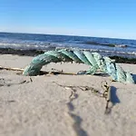 Tahkuna Puhkekeskus HIIUMAA