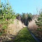 Tahkuna Puhkekeskus Puhkemaja