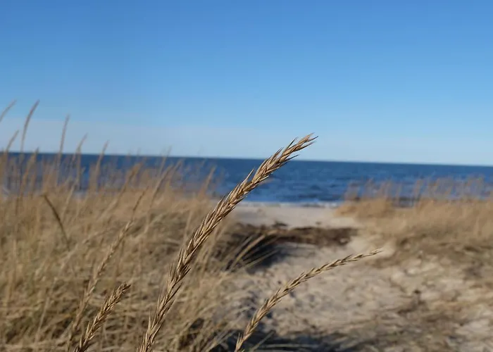 Ferienhaus Tahkuna Puhkekeskus HIIUMAA