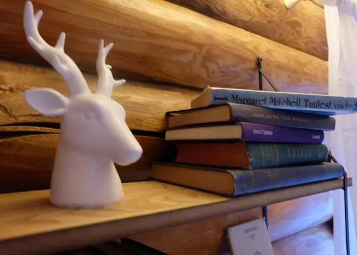 Tahkuna Puhkekeskus Ferienhaus